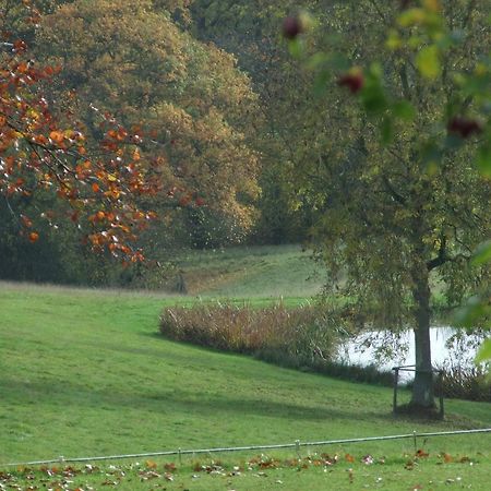 Woodlands Bed & Breakfast Barnt Green Екстериор снимка
