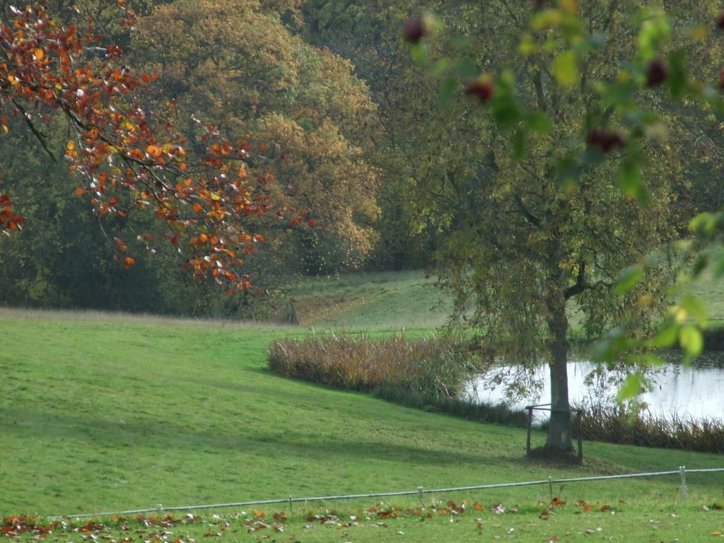 Woodlands Bed & Breakfast Barnt Green Екстериор снимка
